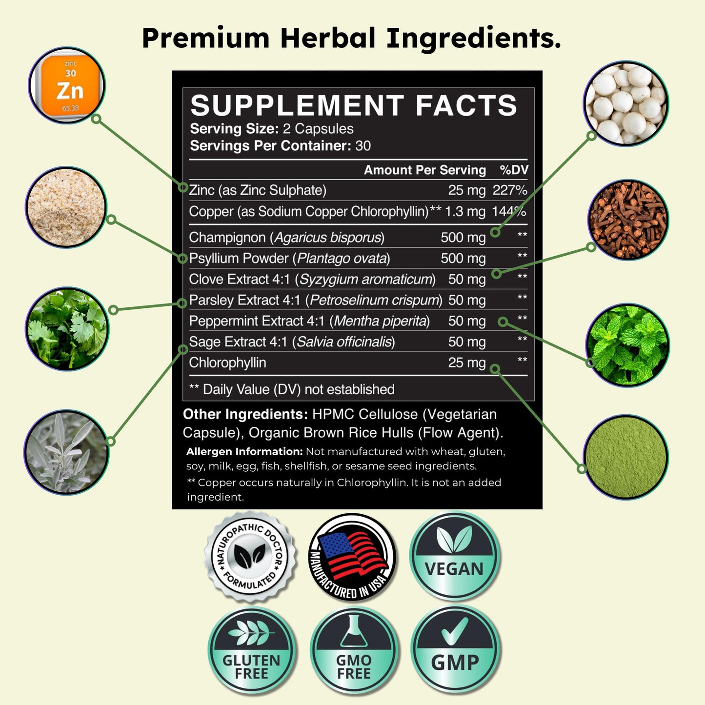 Zenmen Chlorophyll & Zinc Capsules - Internal Deodorant Supplement for Whole Body Freshness & Digestive Comfort, 60 Capsules