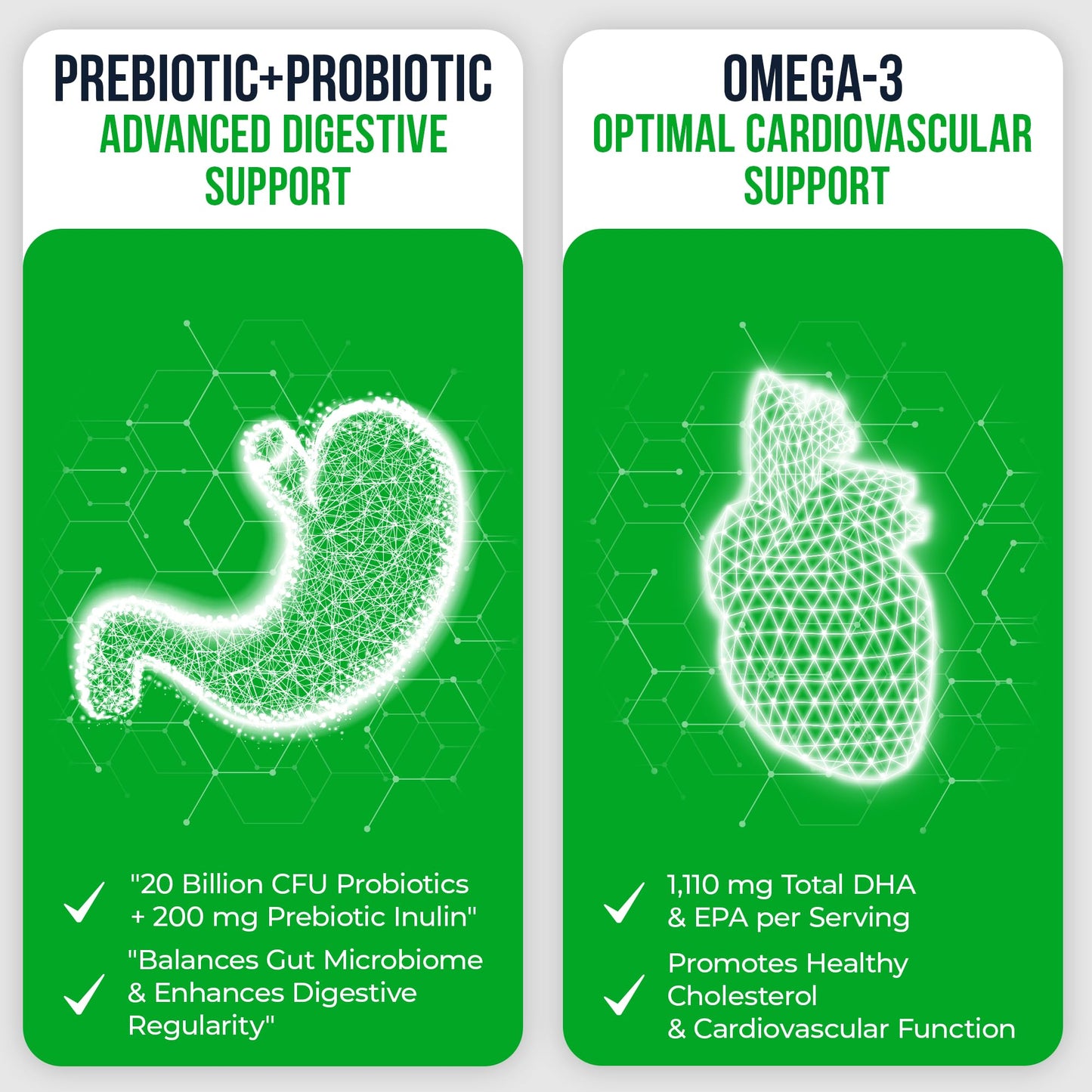 Vita Guard Omega-3 Fish Oil with Prebiotics & Probiotics Softgel 60 Count