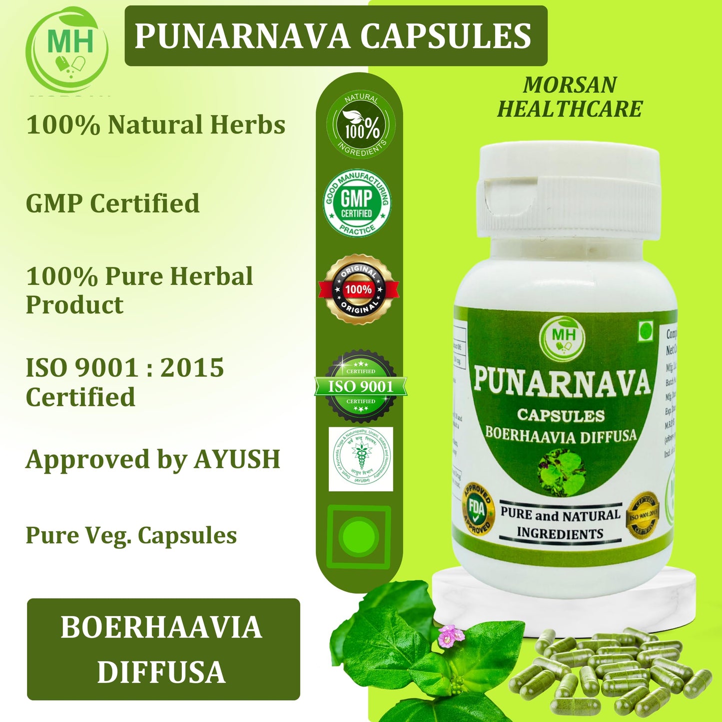 Morsan Healthcare Punarnava (Boerhaavia Diffusa) 500mg Capsules, 120 Count