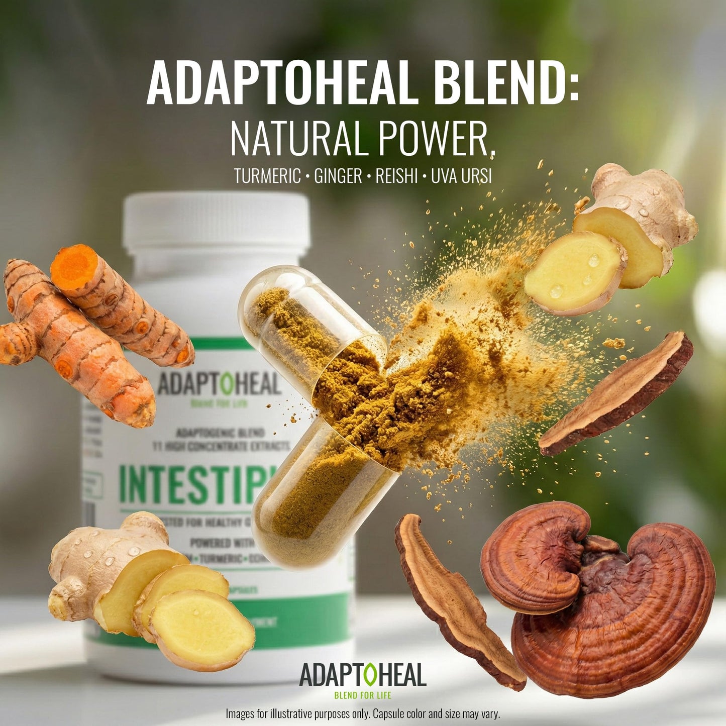 ADAPTOHEAL Intestiplus Adaptogen Gut Support Turmeric Capsules, 180