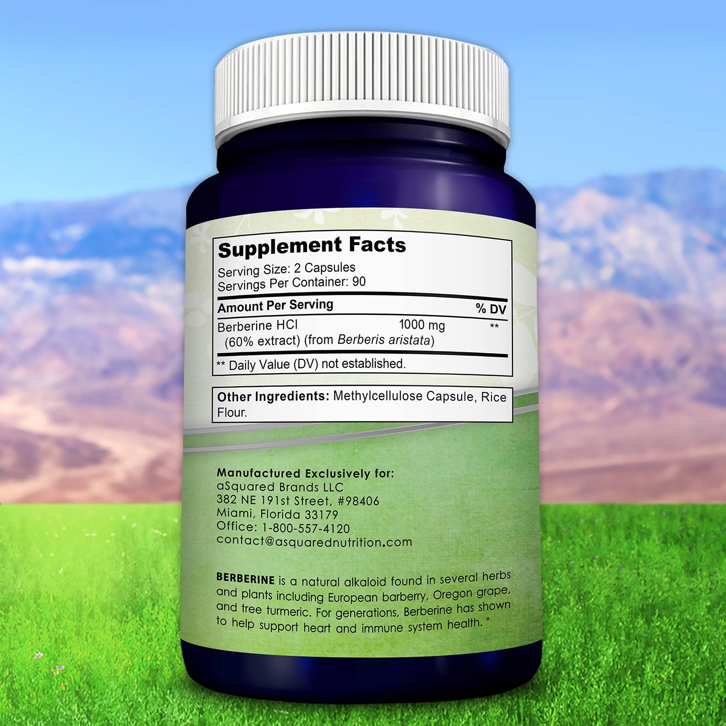 aSquared Nutrition Pure Berberine 1000mg Supplement Capsules, 180 Count