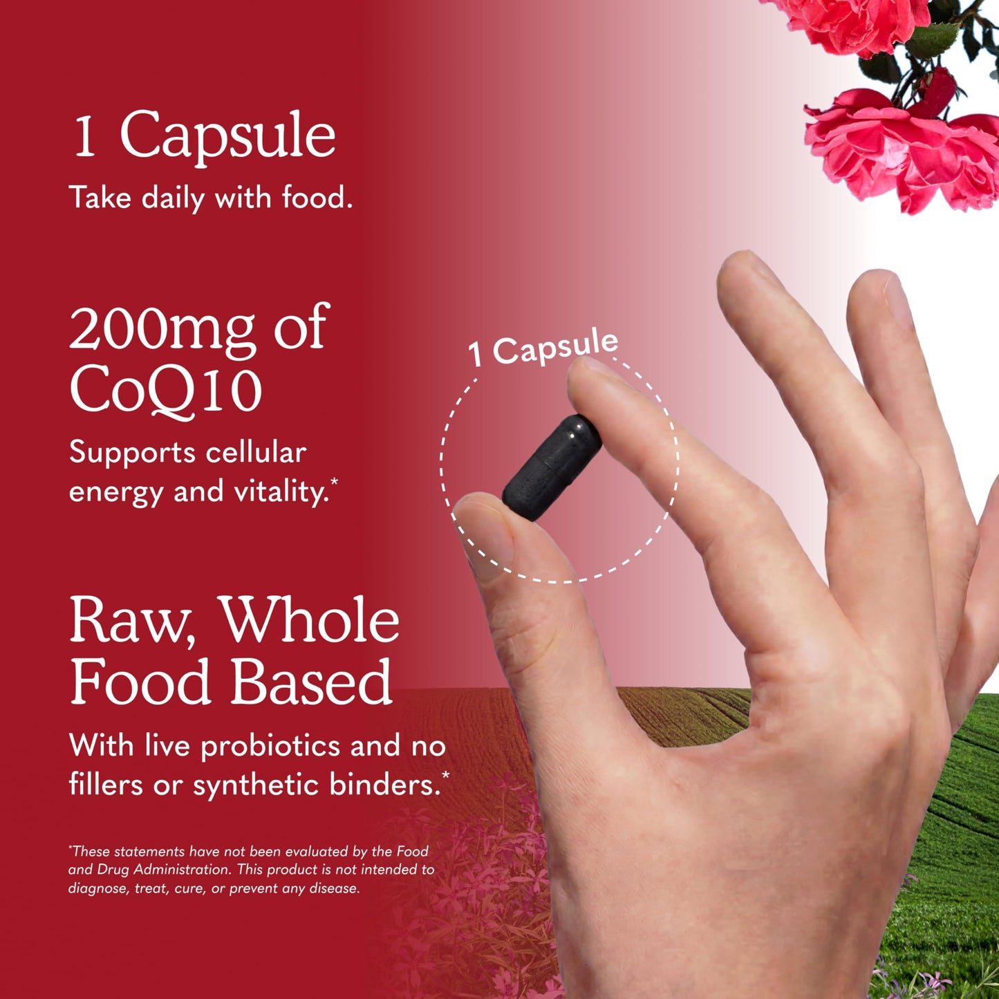 Garden of Life CoQ10 200mg Capsule, 60 Capsules