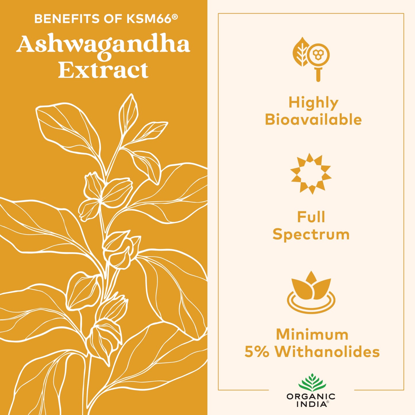 ORGANIC INDIA Ashwagandha Gummies - Stress Support, KSM-66 Ashwagandha Root, Extra Strength, Calm Chews, Vegan, Non-GMO - Lemon Lime, 60 Gummies