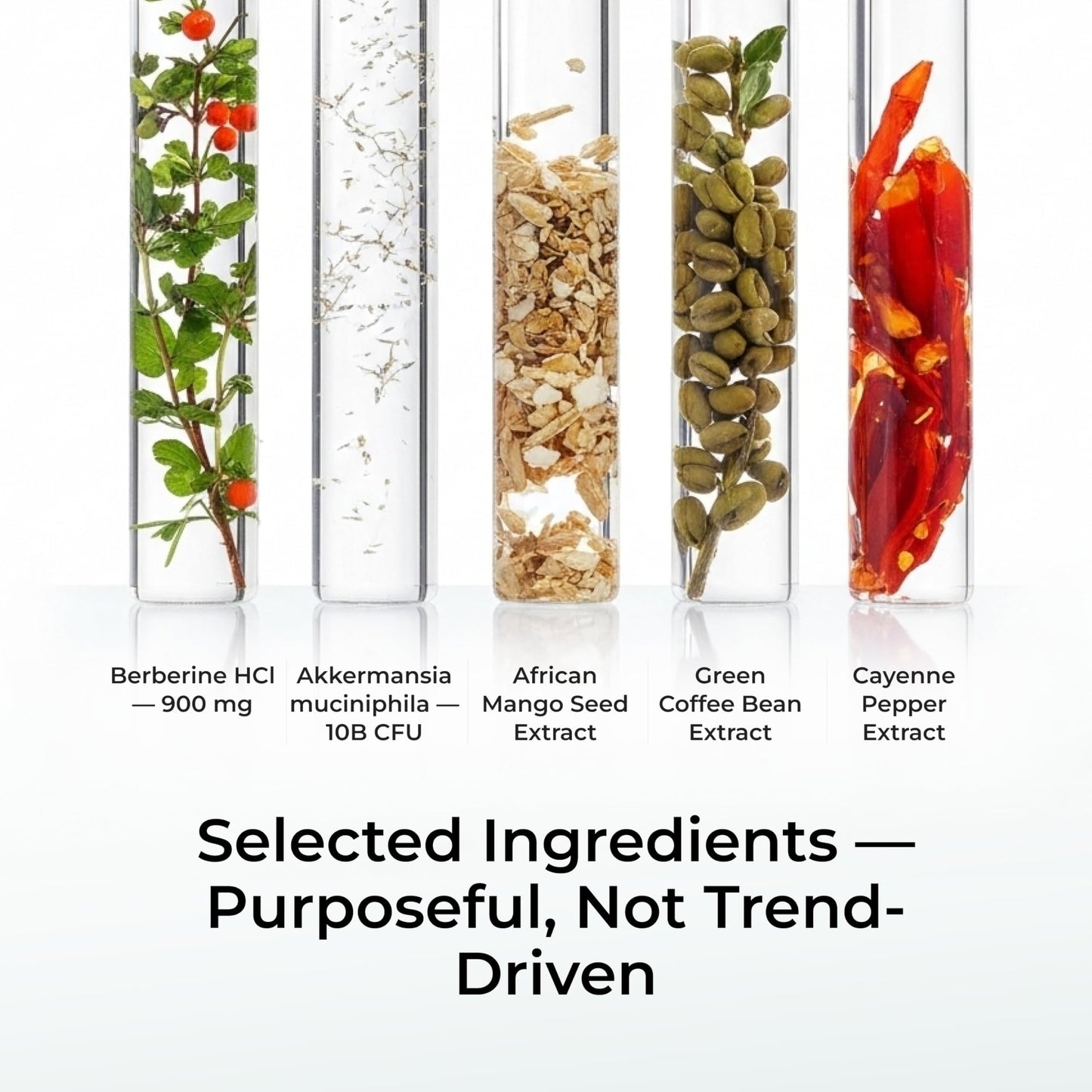 PureHealth Research GLP ON Advanced Metabolic Support Formula with Berberine, Akkermansia & Clinically Studied Botanicals, 120 Veggie Capsules