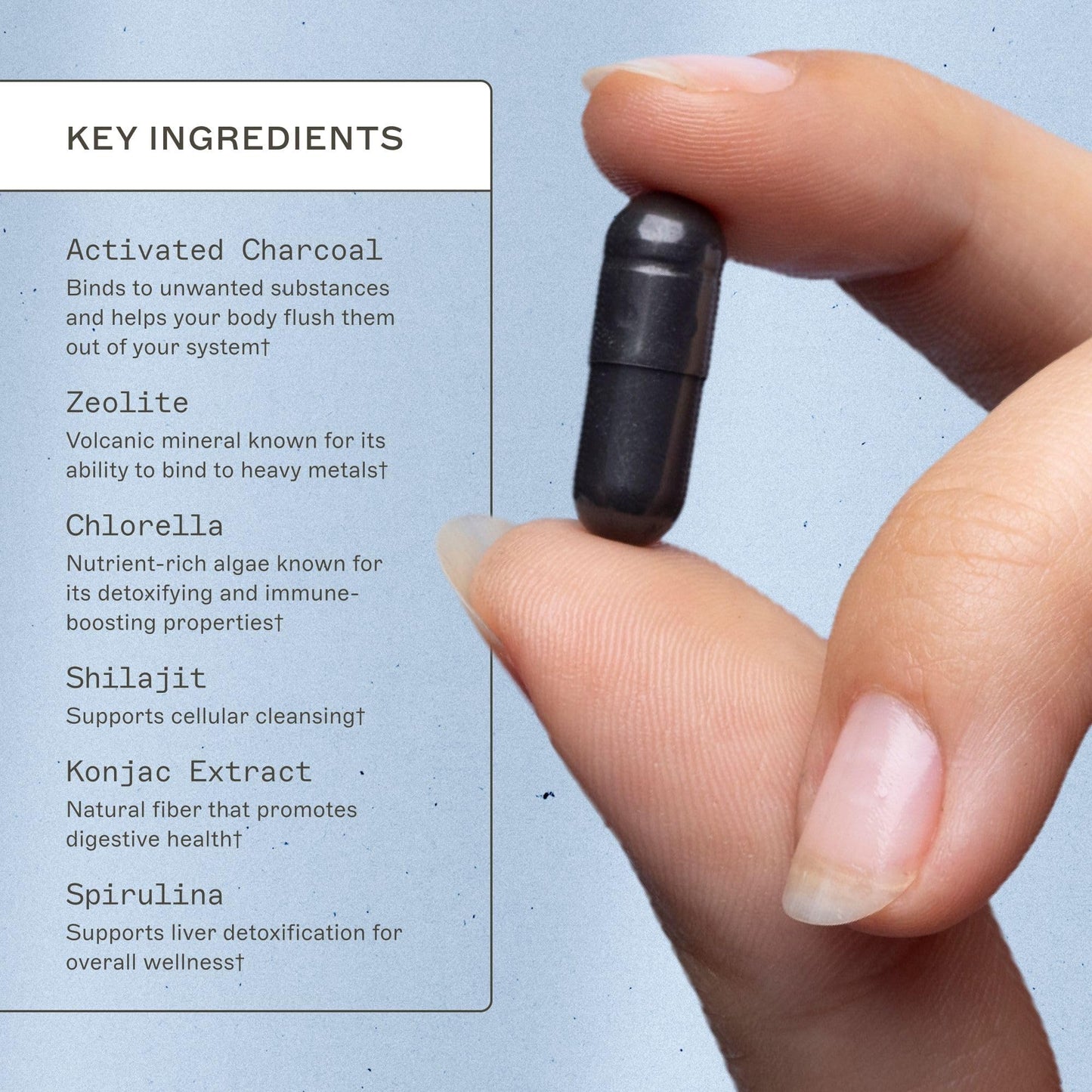 Amy Myers MD Coconut Charcoal 60 Capsules