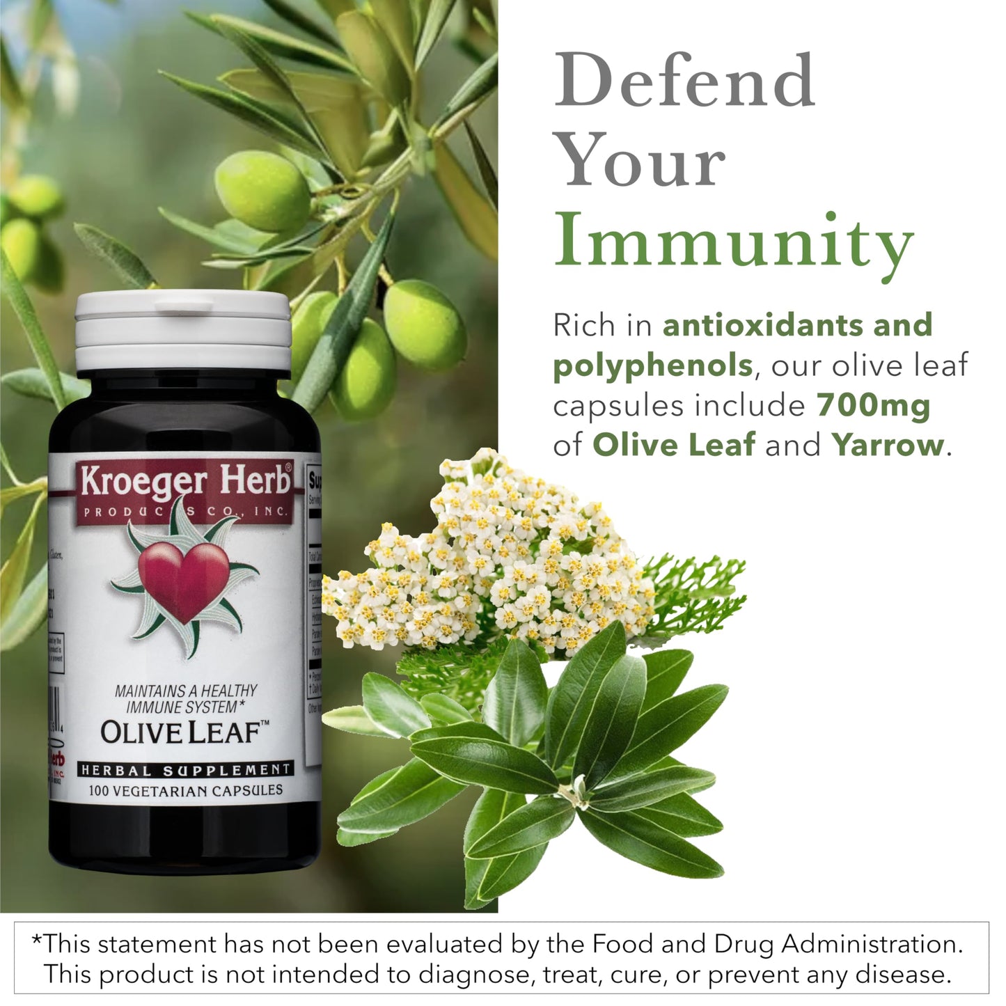 Kroeger Herb Products Olive Leaf Extract Capsules, 100 Capsules