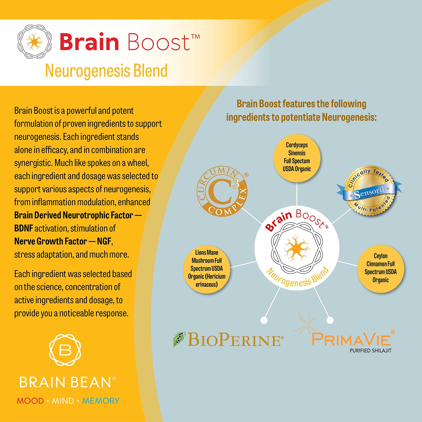 Brain Bean Brain-Boost Powder 5.29 Ounce