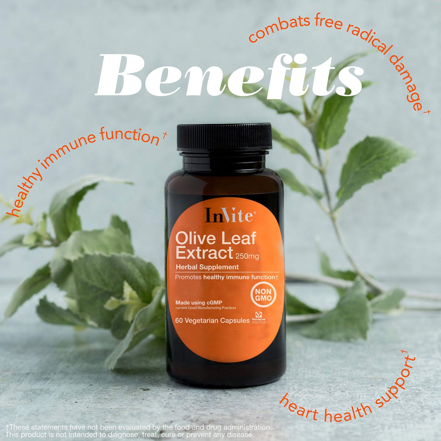 Invite Health Olive Leaf Extract 60 Capsules