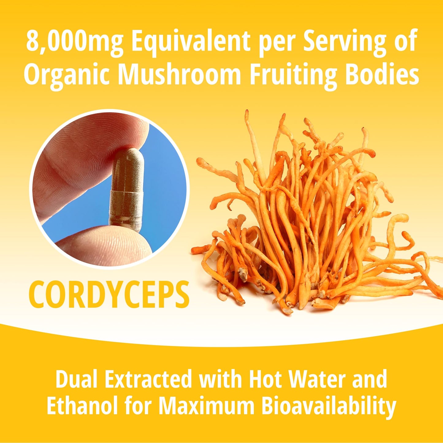 ENCAPSULATE Cordyceps 8:1 Extract Capsules, 60 Capsules