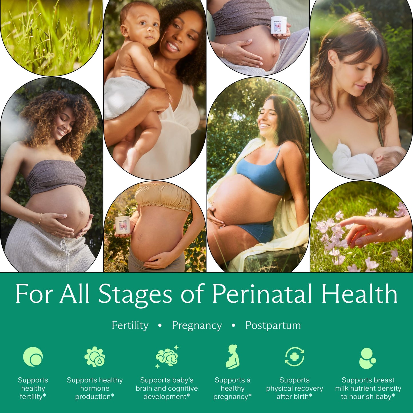 Needed Multivitamin for Prenatal, Prenatal Multi Essentials Capsule, 90 Count