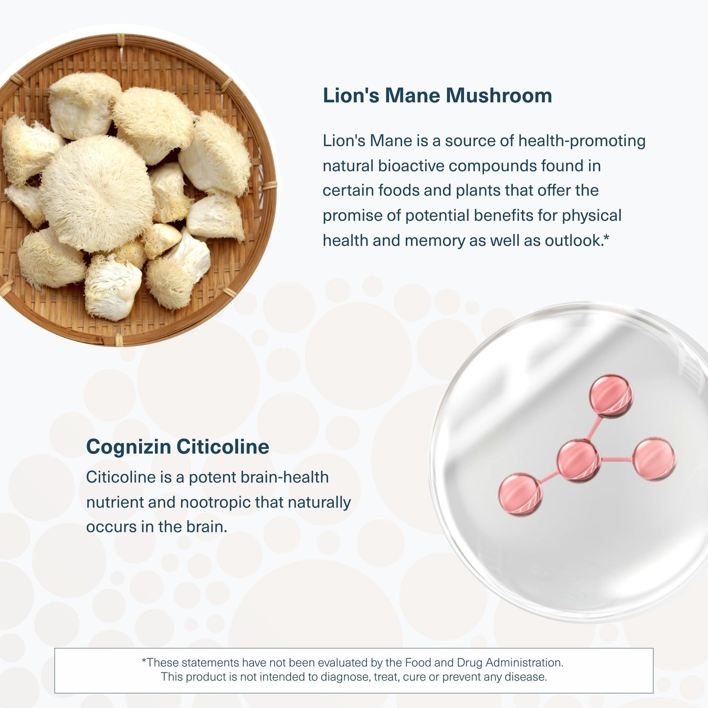 Youtheory Lion's Mane Plus - Mushroom Supplement with Cognizin - Focus & Brain Support Capsules, 60 Count