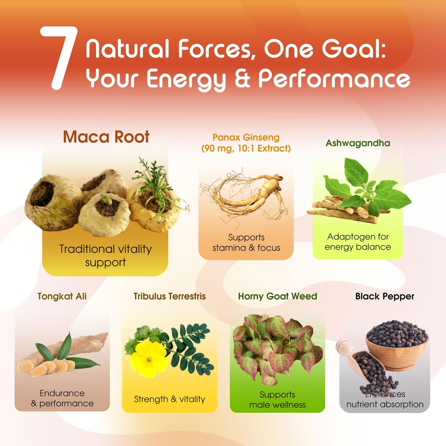 Vital Herbal Maca Root Complex with Ashwagandha, Tongkat Ali, Tribulus, Horny Goat Weed & Panax Ginseng Capsules 90