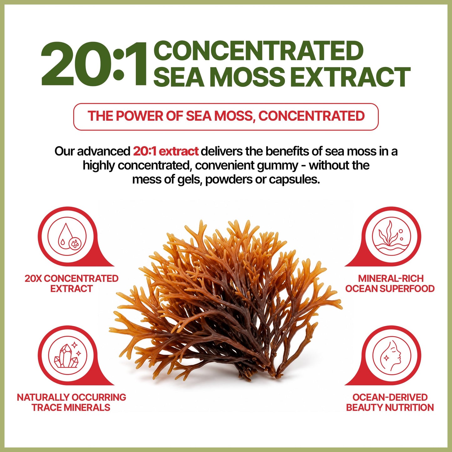 MEGAPLANTS Sea Moss Gummies with Pearl Powder & Burdock Root, 60 Gummies