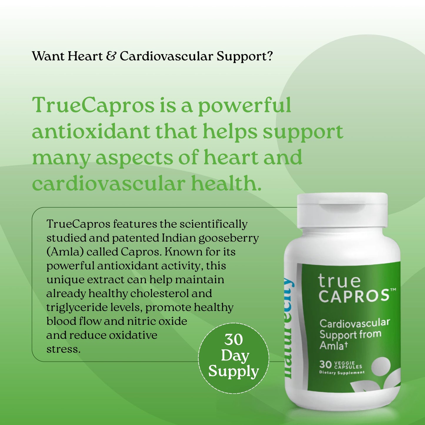 NatureCity True-Capros Amla Fruit Extract Supplement Polyphenol Antioxidant Power Supports Cardiovascular Heart Health 30 Capsules