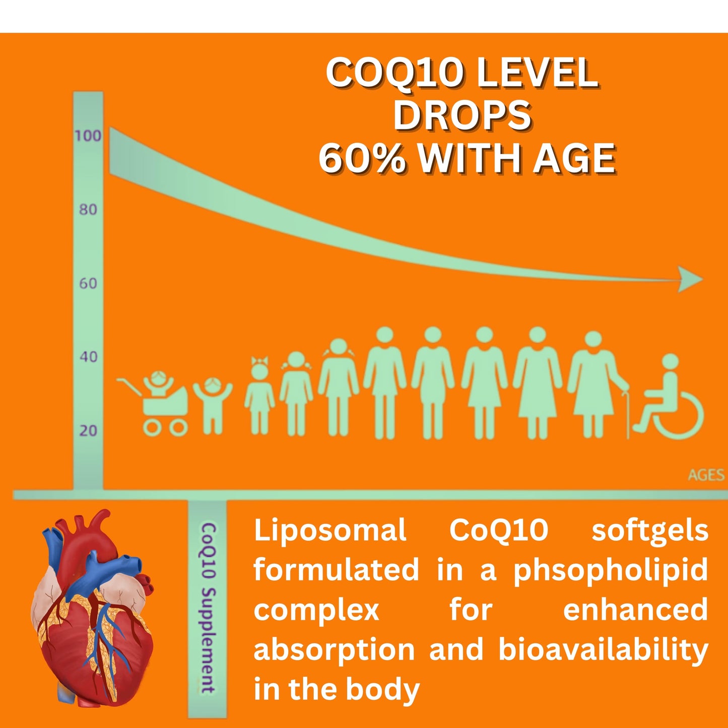 Nikoni Liposomal CoQ10 1000mg Softgels, 60-Count