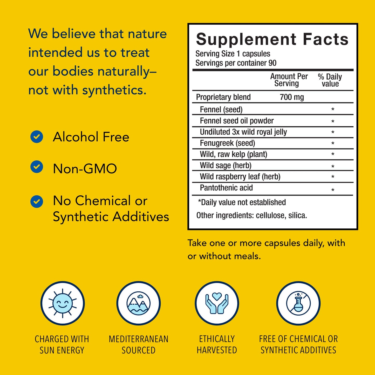 North American Herb & Spice ActiFEM 90 Capsules