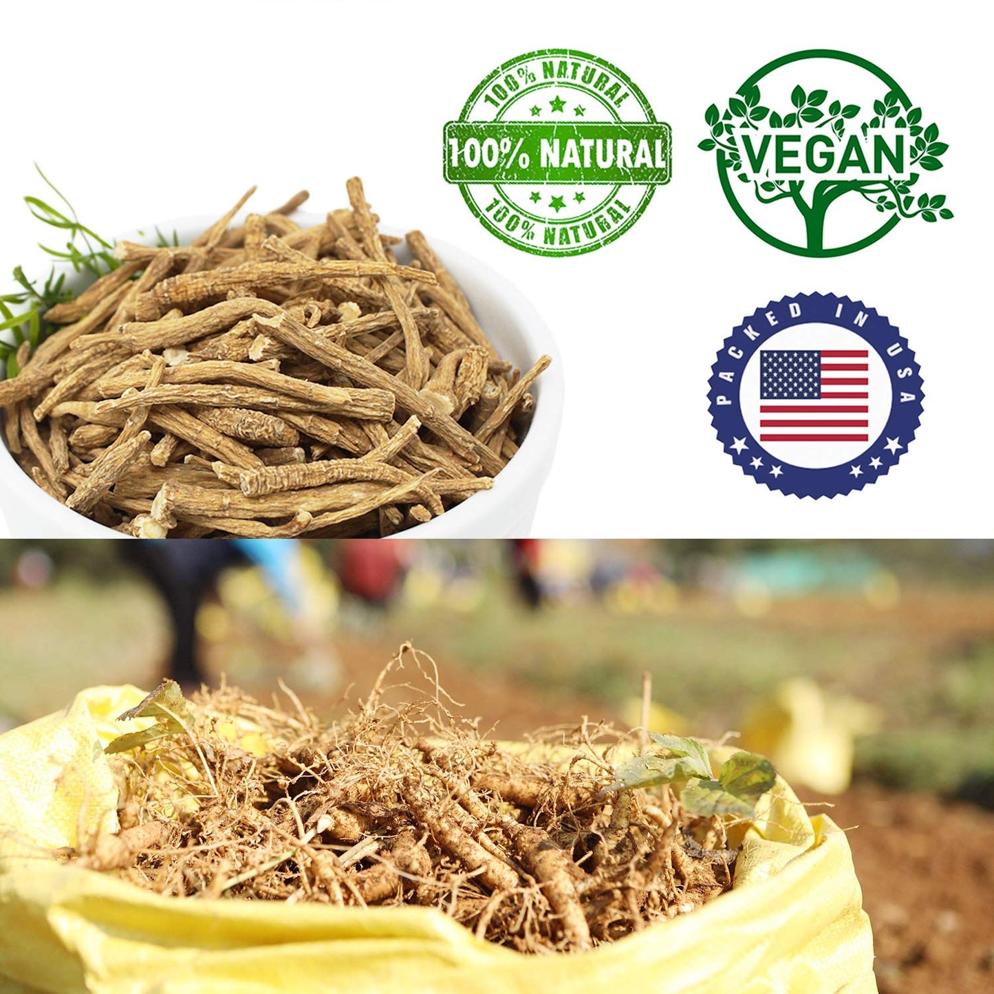 DABC OAK LAND American Ginseng from Wisconsin Tablet 4 Count