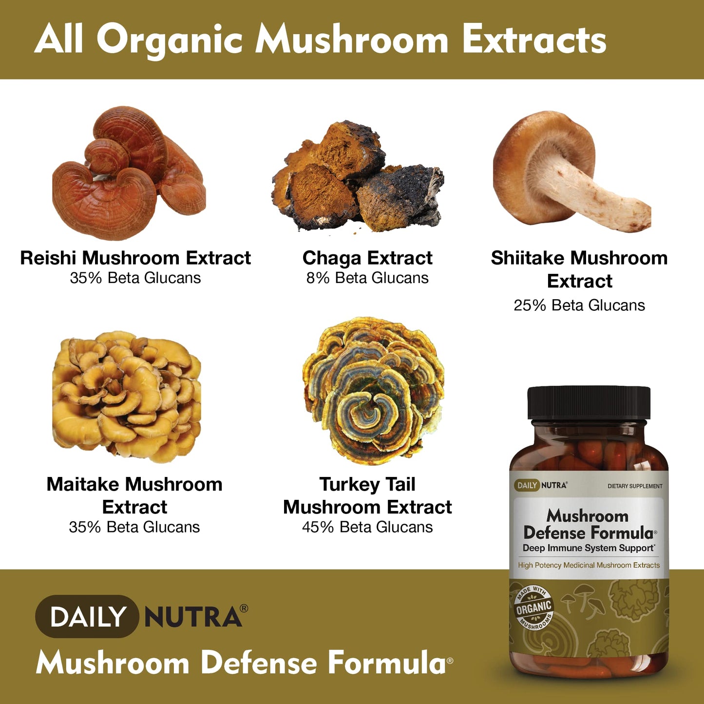 DailyNutra Mushroom Defense Formula Immune Support Supplement with Organic Mushrooms, Hot Water Extracted - Reishi, Chaga, Maitake, Shiitake & Turkey Tail 90 Capsules