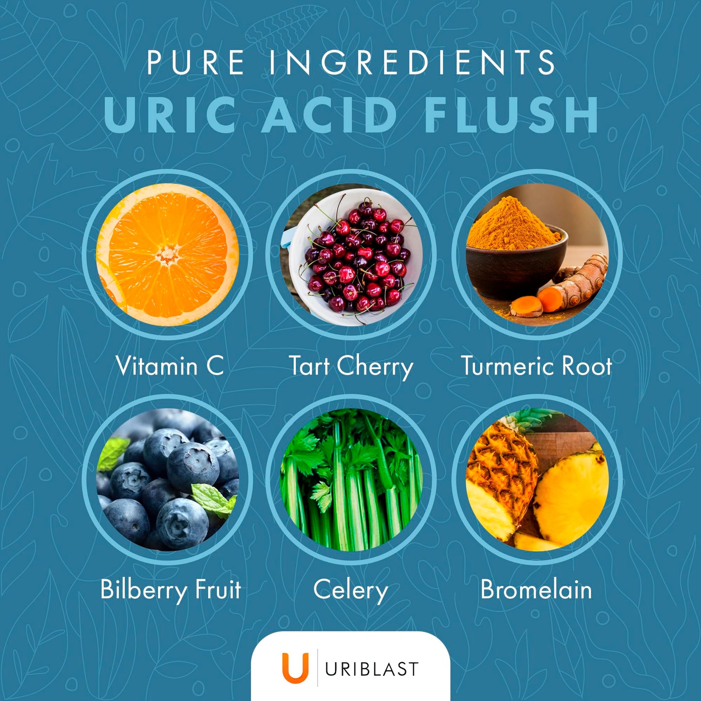 Uriblast Natural Uric Acid Supplement Capsules 60 Count