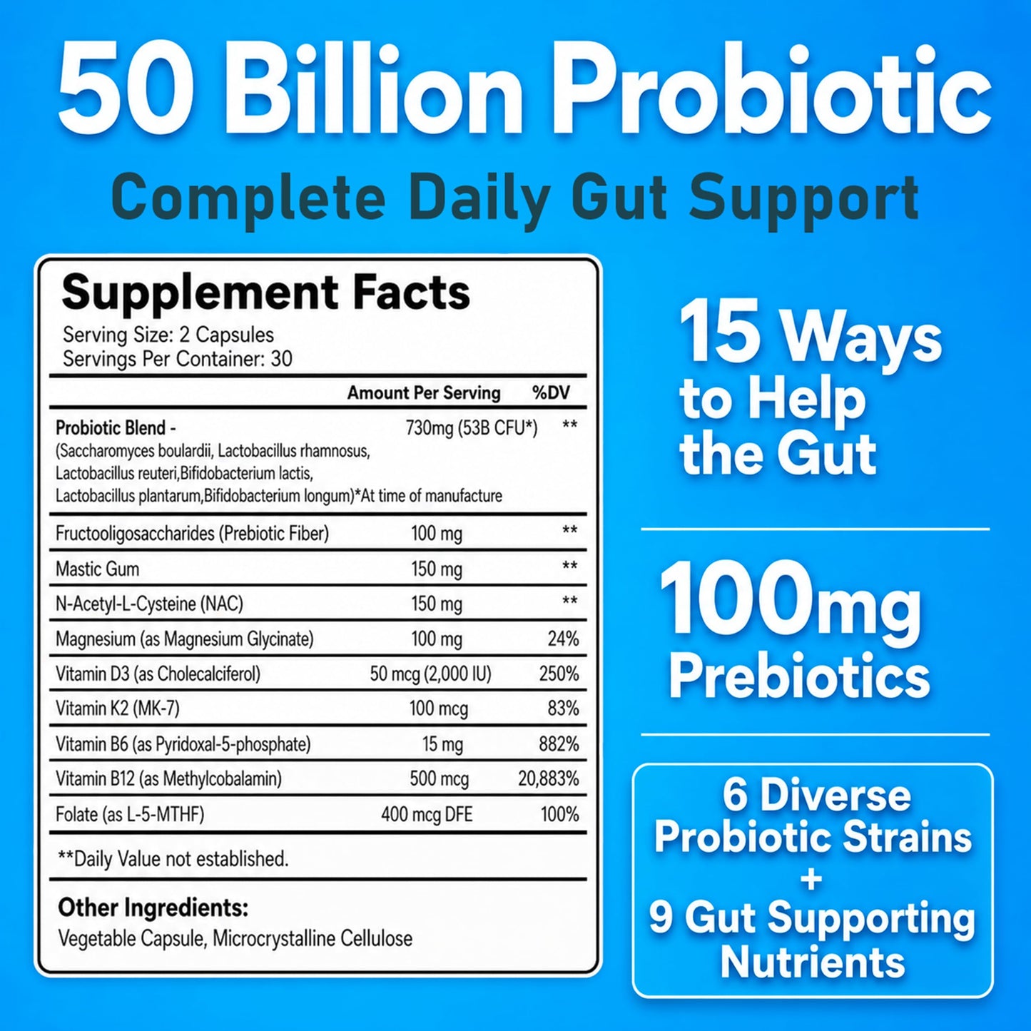 UMB Natures Journey Daily Synbiotic 50 Billion CFU – 6 Strains Probiotics for Women & Men with Prebiotic Fiber, Digestive & Gut Health, Immune Support, 9 Gut-Supporting Nutrients, 60 Capsules