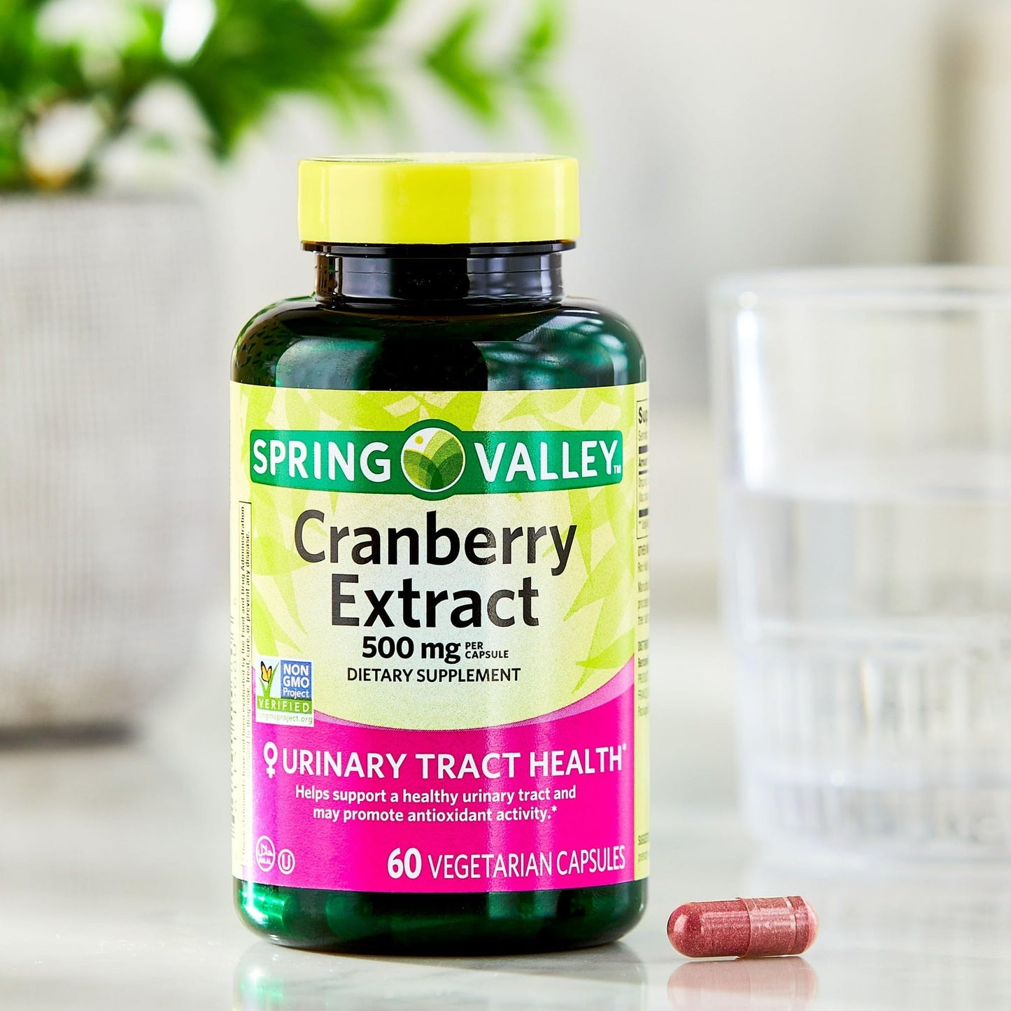 BASKETGOODS Cranberry Extract 500 mg Capsules 60 Count