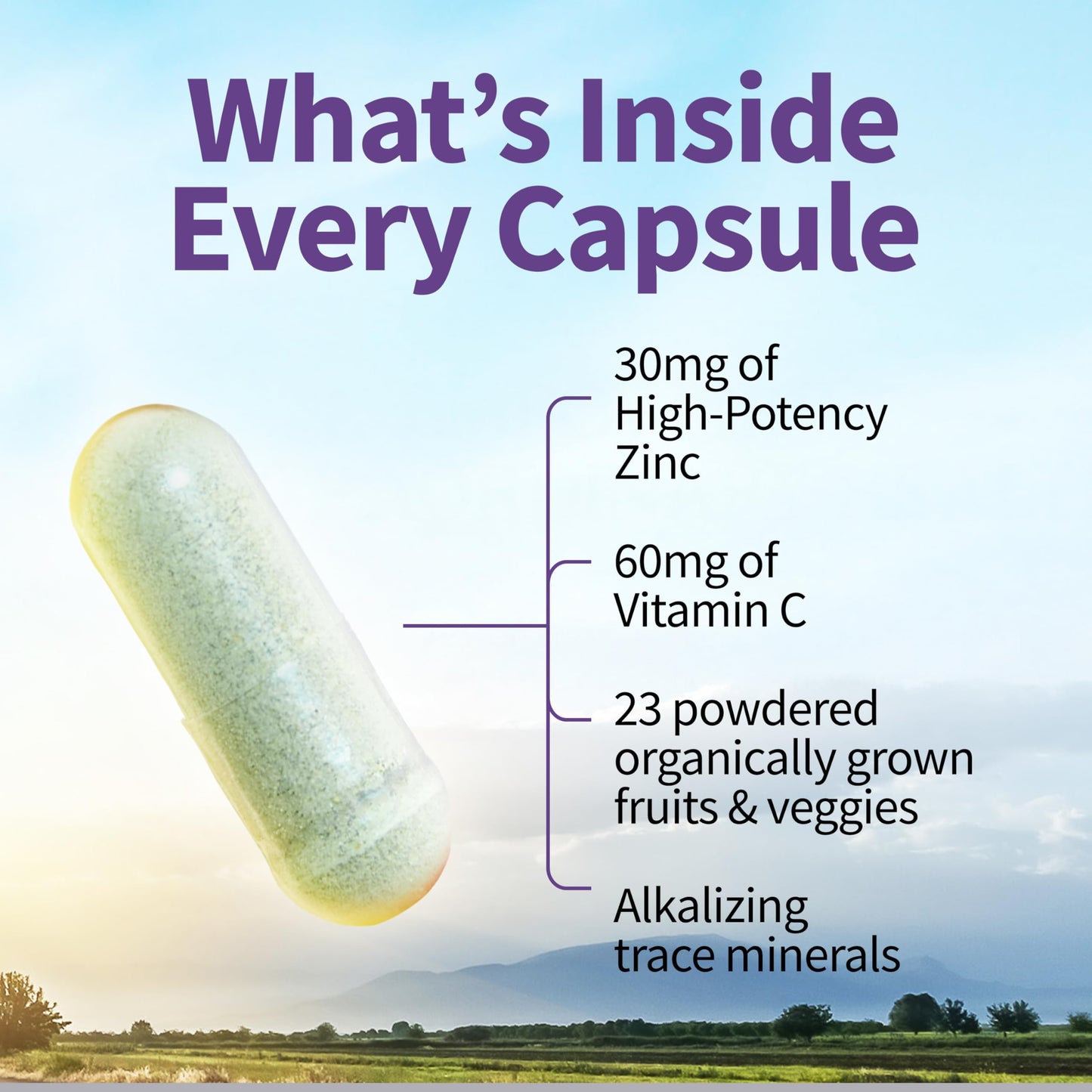 Garden of Life Zinc 30mg High Potency Raw Zinc & Vitamin C Multimineral Supplement, Vitamin Code Trace Minerals & Probiotics for Skin Health & Immune Support, 60 Vegan Capsules