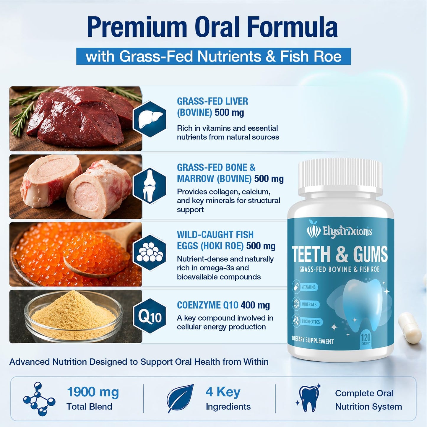 Elystrixionis Gum Restore Gum Repair for Receding Gums – Probiotic Oral Health Formula Capsule, 120 Capsules