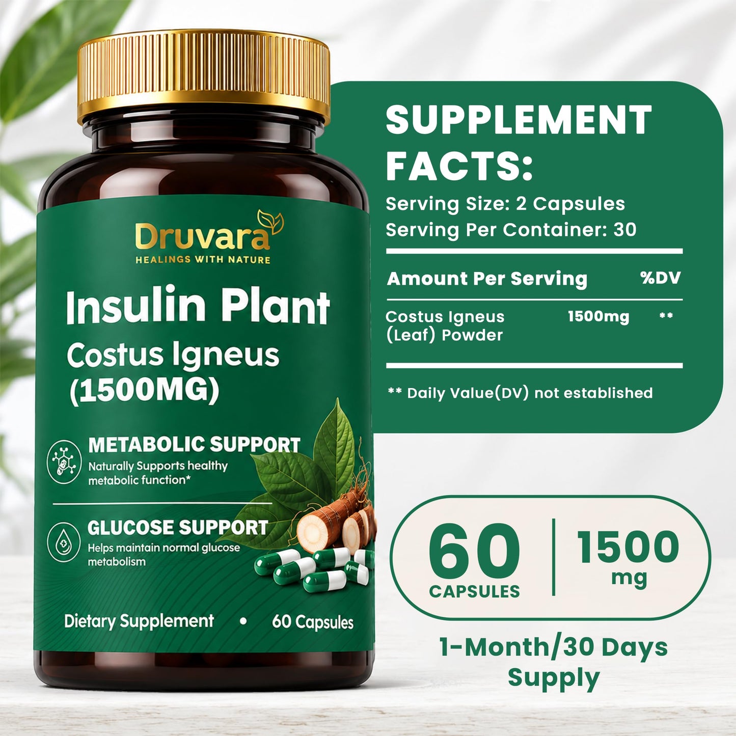 Druvara Insulin Plant Capsules (Costus Igneus), 60 Capsules