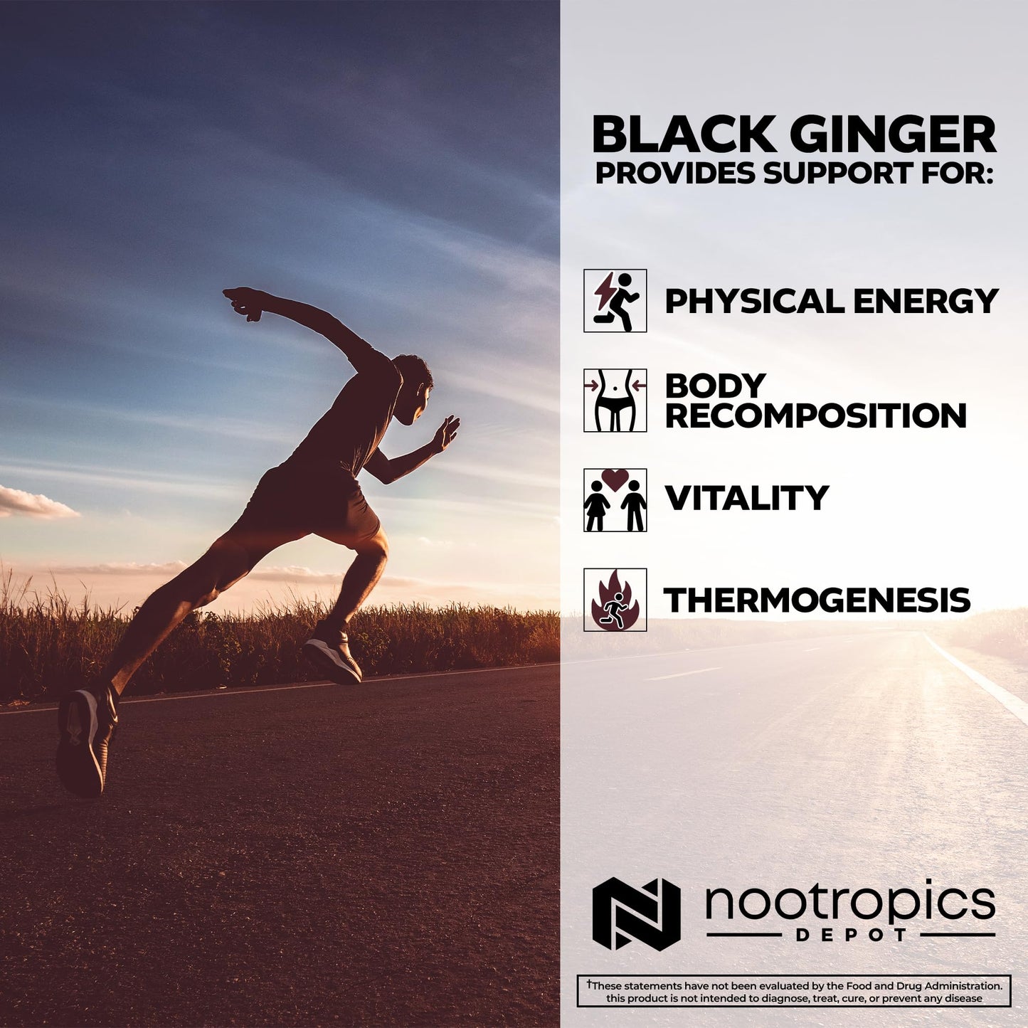 Nootropics Depot Black Ginger Extract Capsules (10% 5,7-dimethoxyflavone), 180 Count