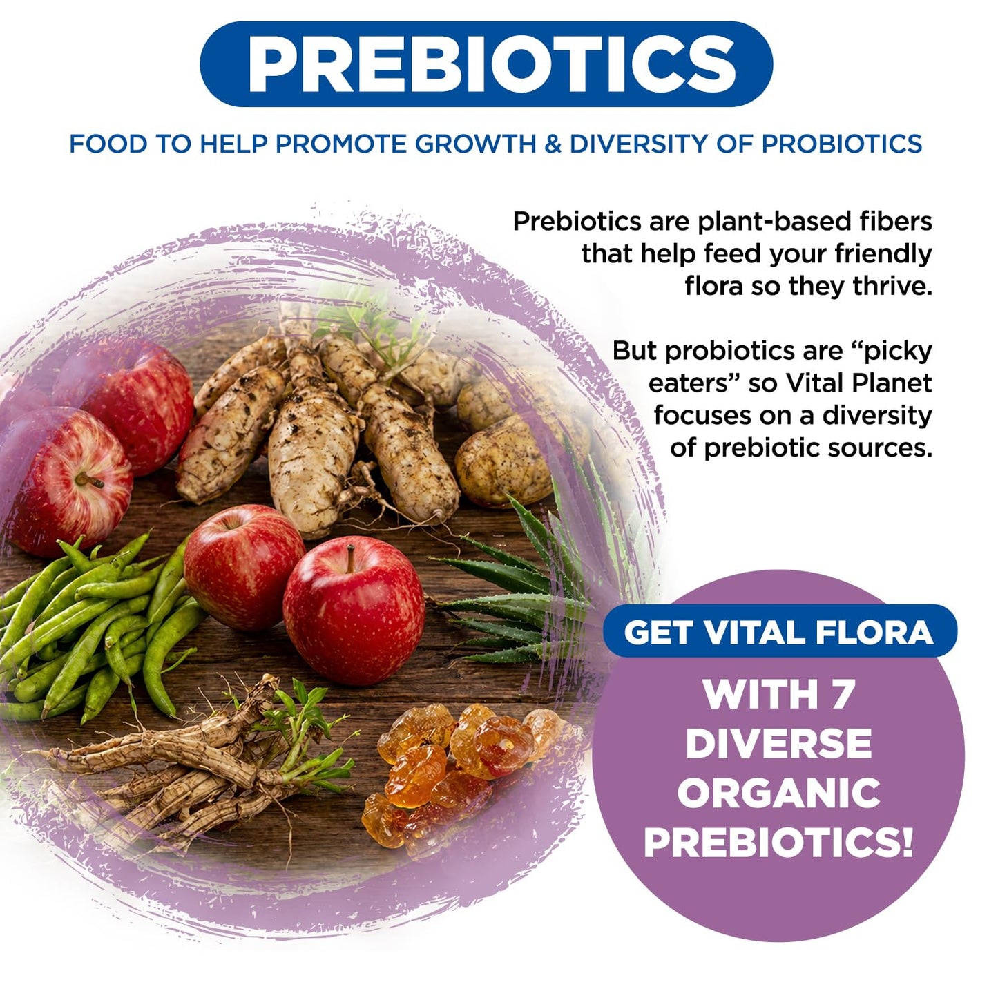 Vital Planet Vital Flora Probiotics for Women 60 Billion CFU, Diverse Strains, Organic Prebiotics Capsules 30