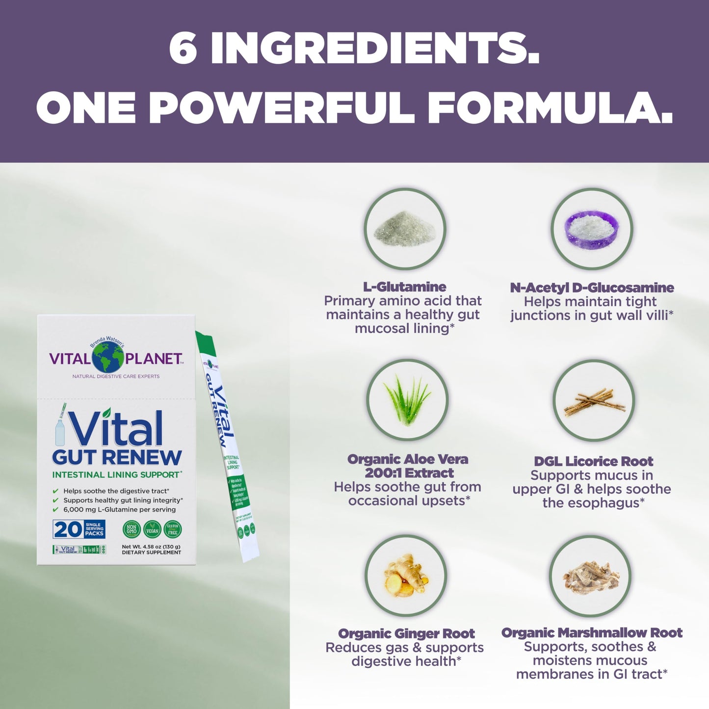 Vital Planet Vital Gut Renew Powder Supplement for Leaky Gut Repair with L-Glutamine, Marshmallow and Ginger Root, DGL Licorice Root and Organic Aloe Vera, 6000mg, 4.5 oz