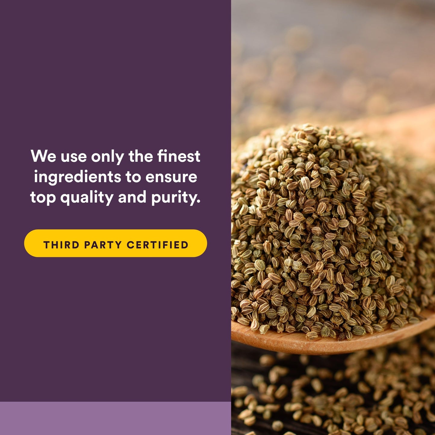 Natural Factors Celery Seed Concentrated Celery Extract Capsule 1 Count