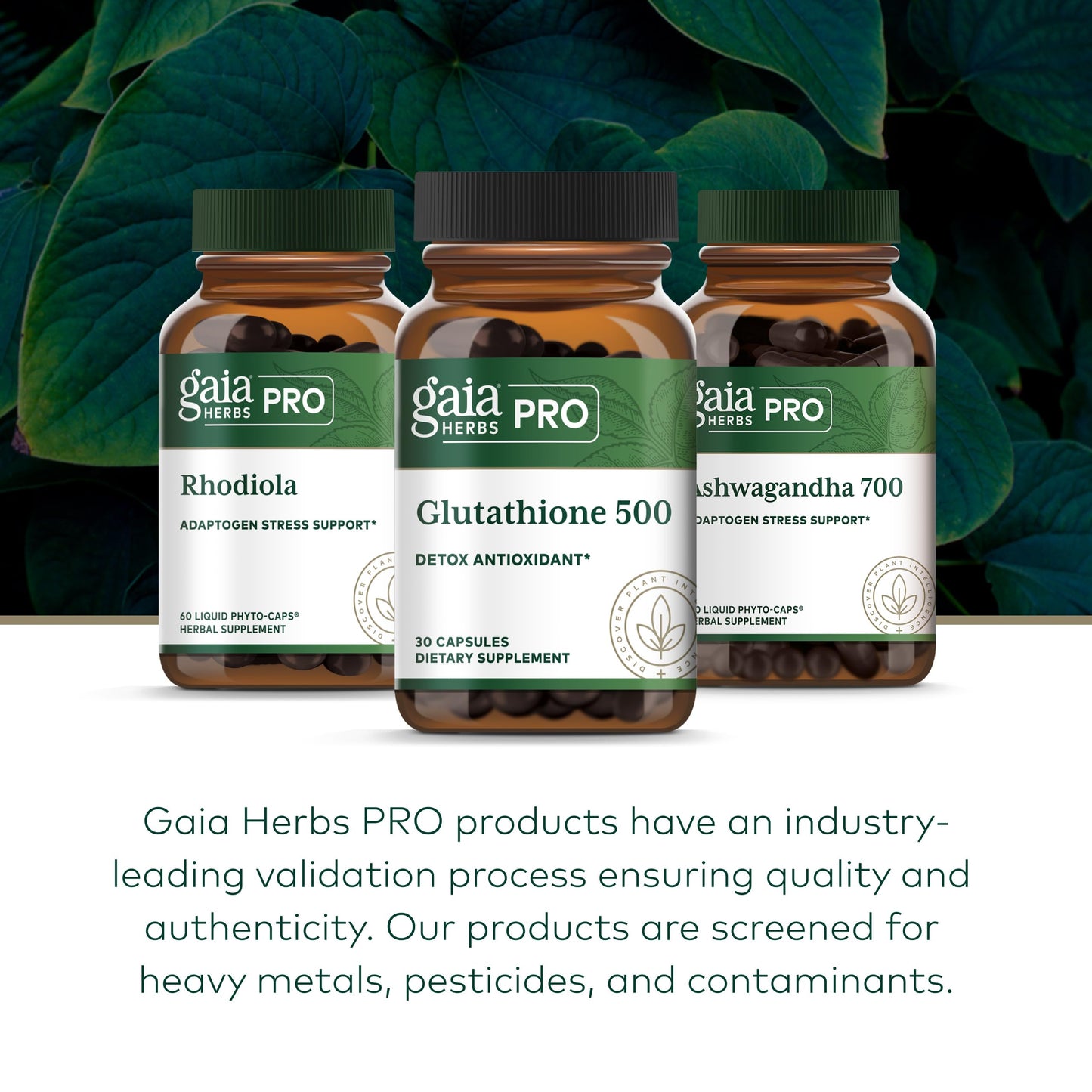 Gaia Herbs PRO Glutathione 500 Capsule, 30 Capsules