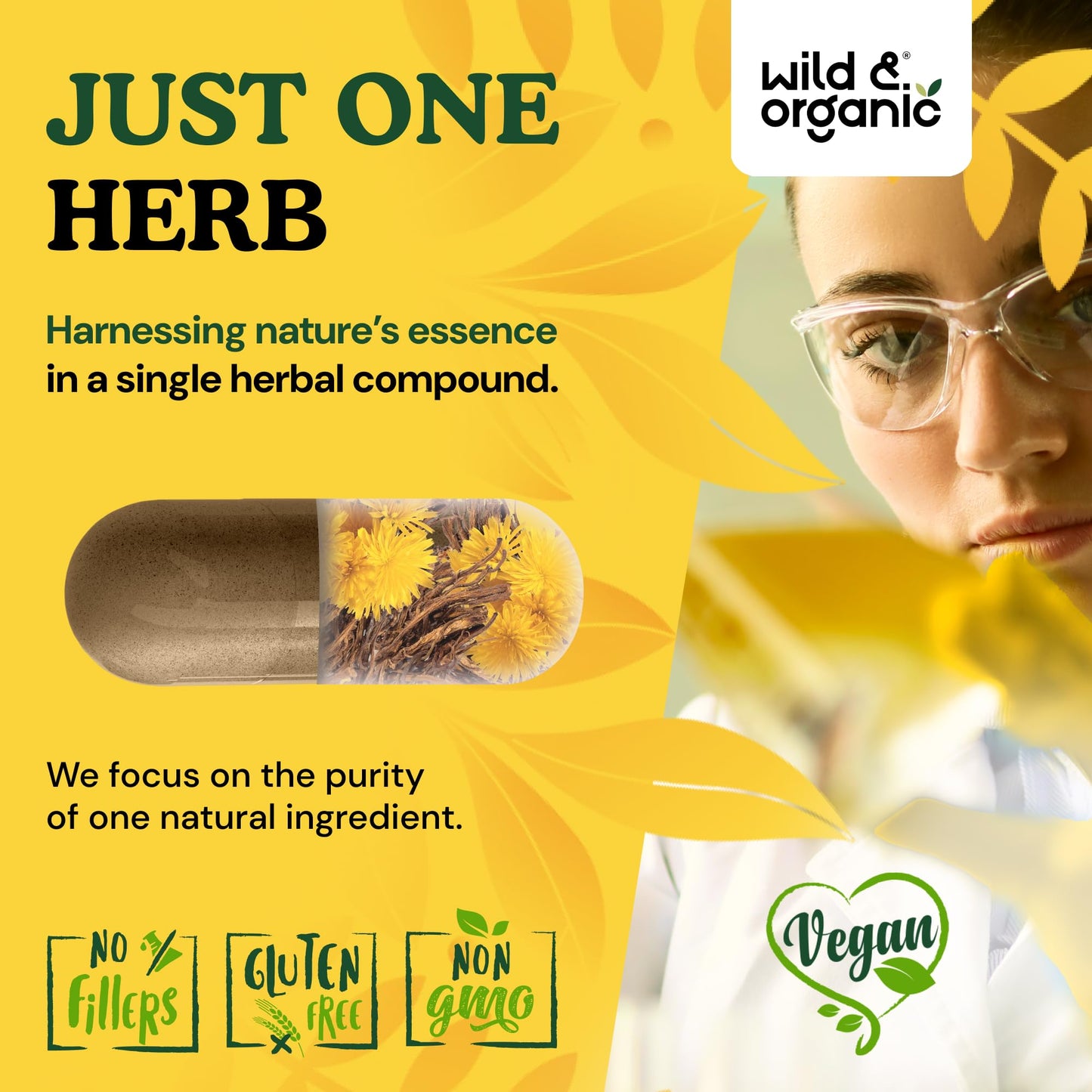 Wild & Organic Dandelion Root Capsules 120 Count