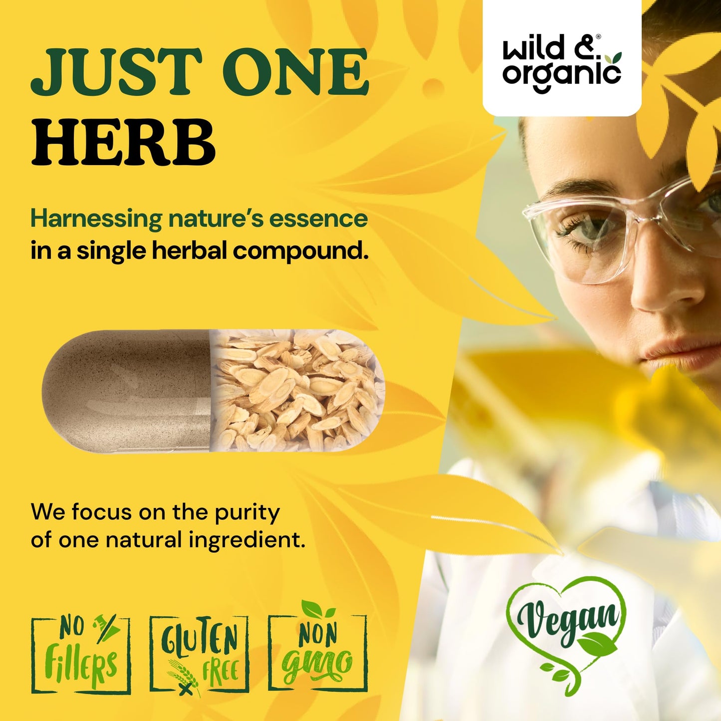 Wild & Organic Astragalus Capsules 1200 mg - Immune Support - Astragalus Root Supplement - 120 Count