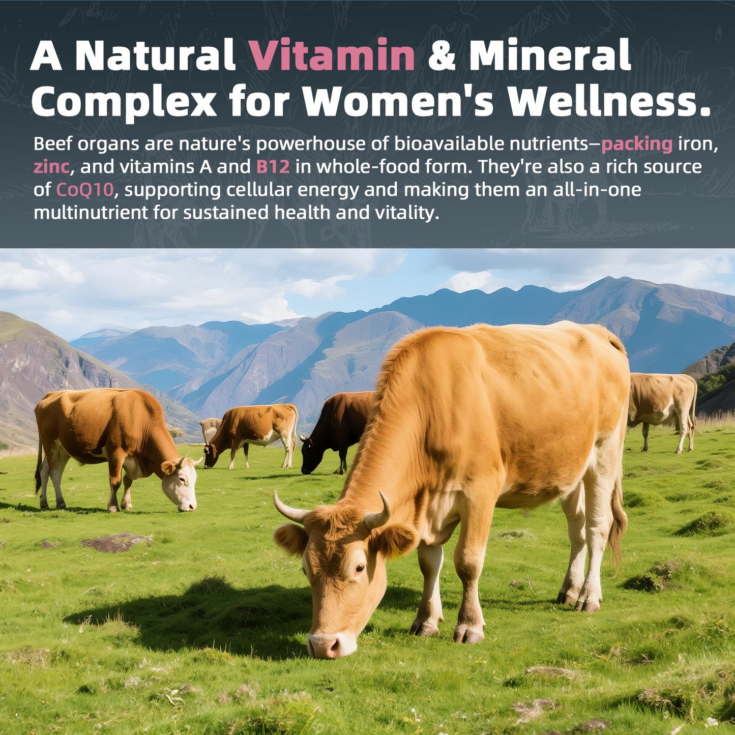 Alliwise Beef Organ Supplement for Women 100% Grass-Fed Beef Organs Complex Capsule 90 Count
