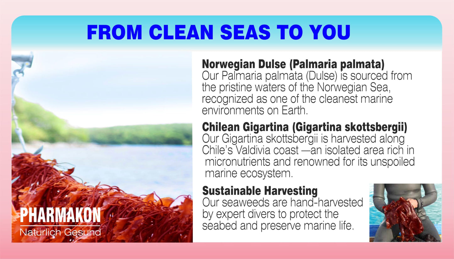 PHARMAKON Fermented Red Marine Algae Complex, Gigartina & Dulse, Reduced Carrageenan Content Softgel 120