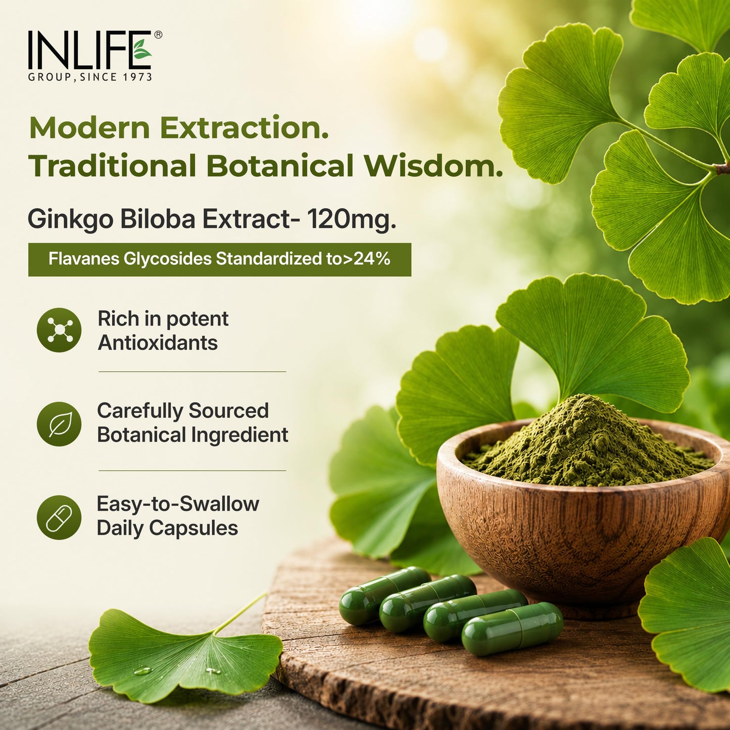 INLIFE Ginkgo Biloba Extract 120mg Capsules, 1 Count