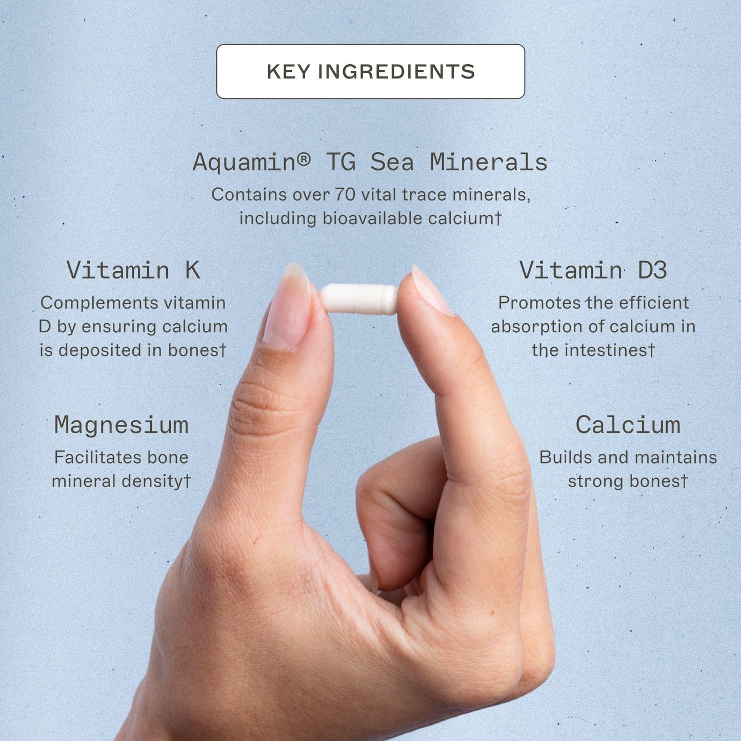 Amy Myers MD OsteoDura Bone Growth & Flexibility Support Calcium with Sea Minerals & Vitamin K2 Capsule, 120 Capsules