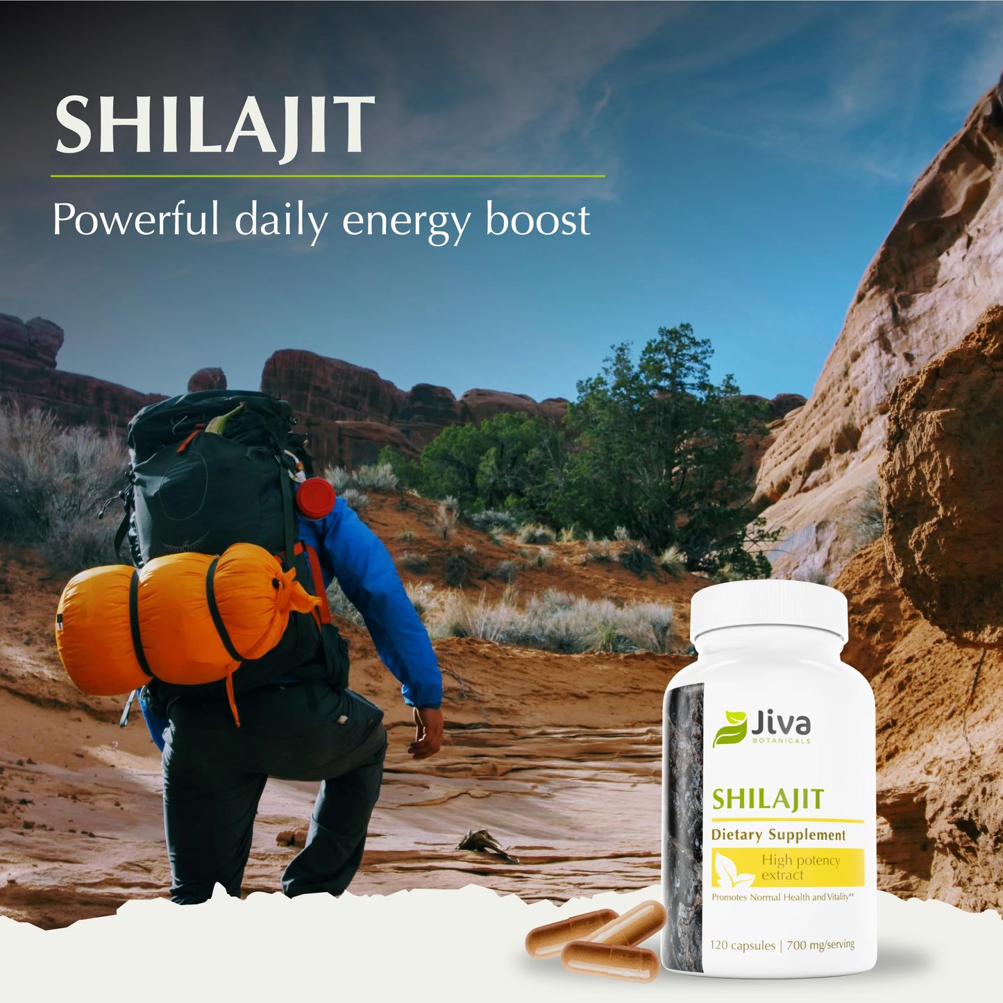 Jiva Botanicals Shilajit Supplement 700 mg Capsule, 120 Count