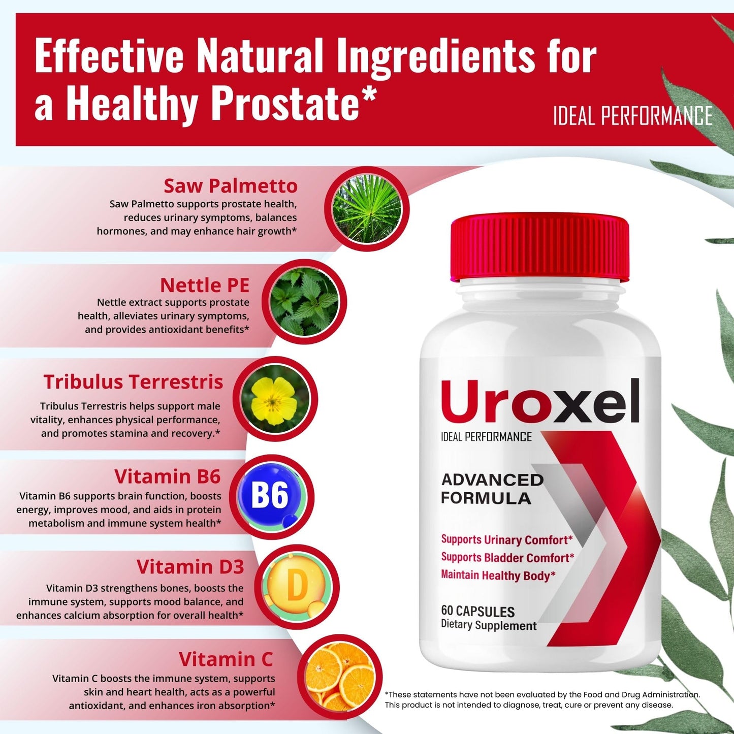IDEAL PERFORMANCE Uroxel Prostate Health Capsules, 180 Count