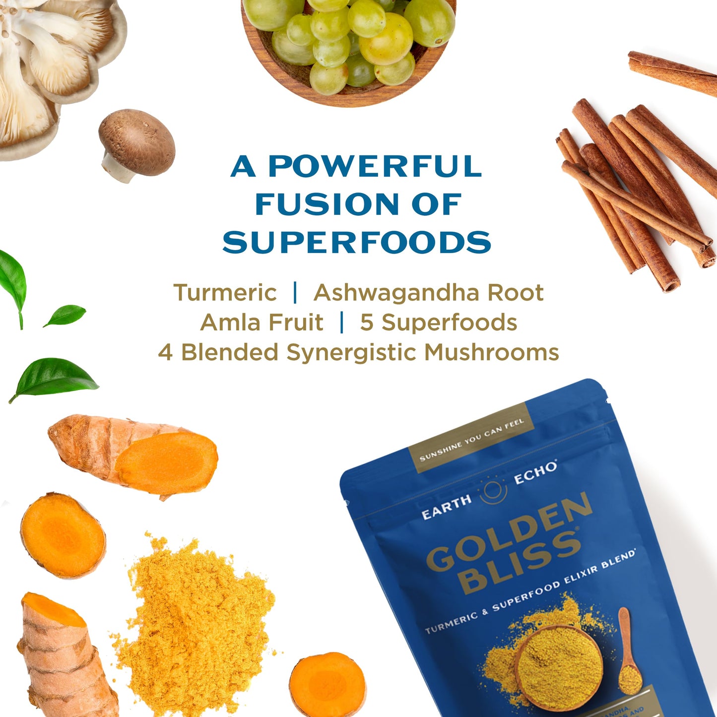 Earth Echo Golden Bliss Organic Golden Milk with Turmeric and Ginger Powder, 30 Servings