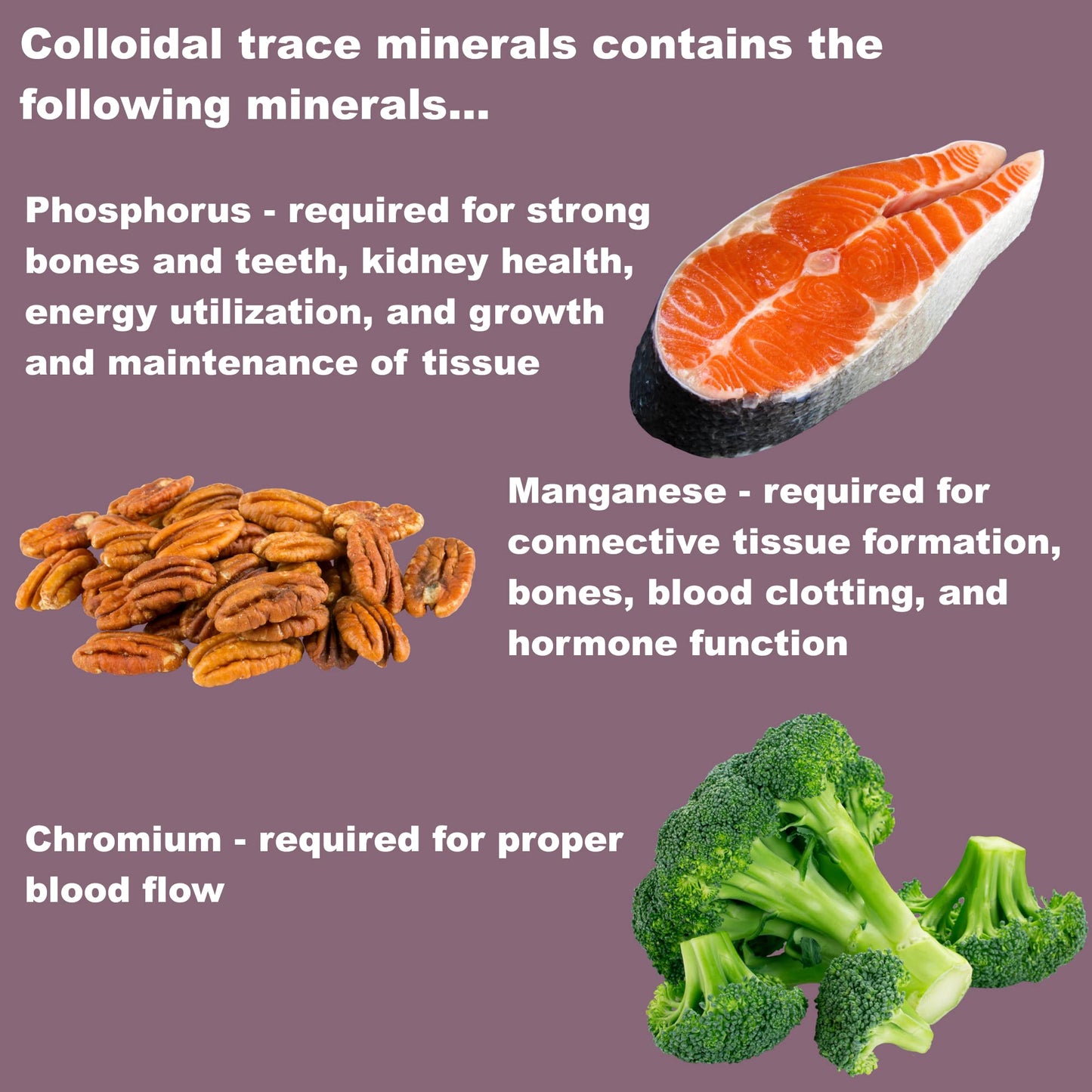 LifeLink Colloidal Trace Minerals Capsules 100