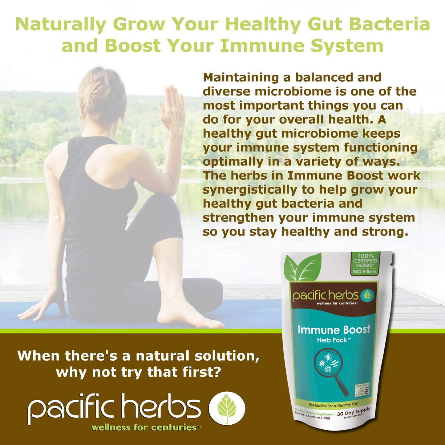 Pacific Herbs Natural Immune Booster Herb Extract Powder 3.5 Ounces