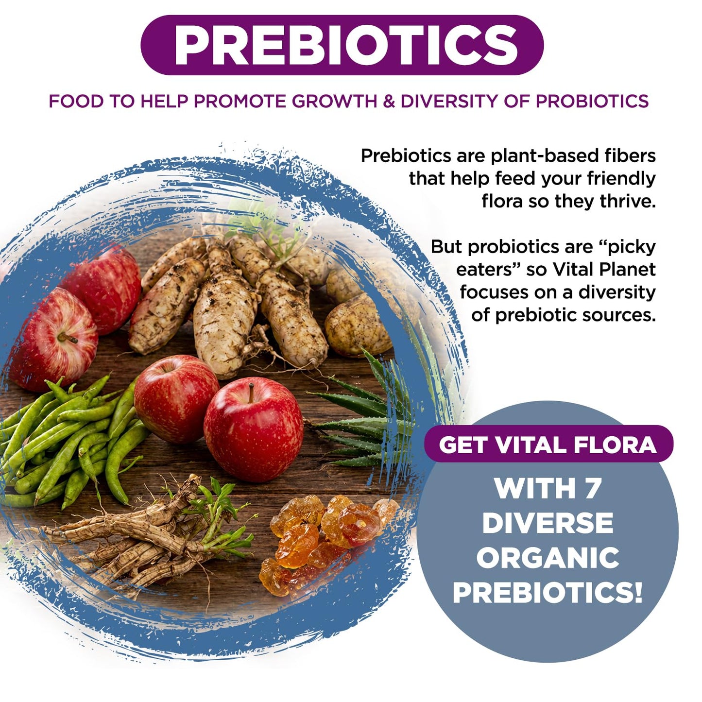 Vital Planet Vital Flora Probiotics for Women Over 55 Daily Shelf Stable Probiotic 60 Billion CFU, 60 Diverse Strains, 7 Organic Prebiotics, Immune Support and Digestive Health, 60 Capsules