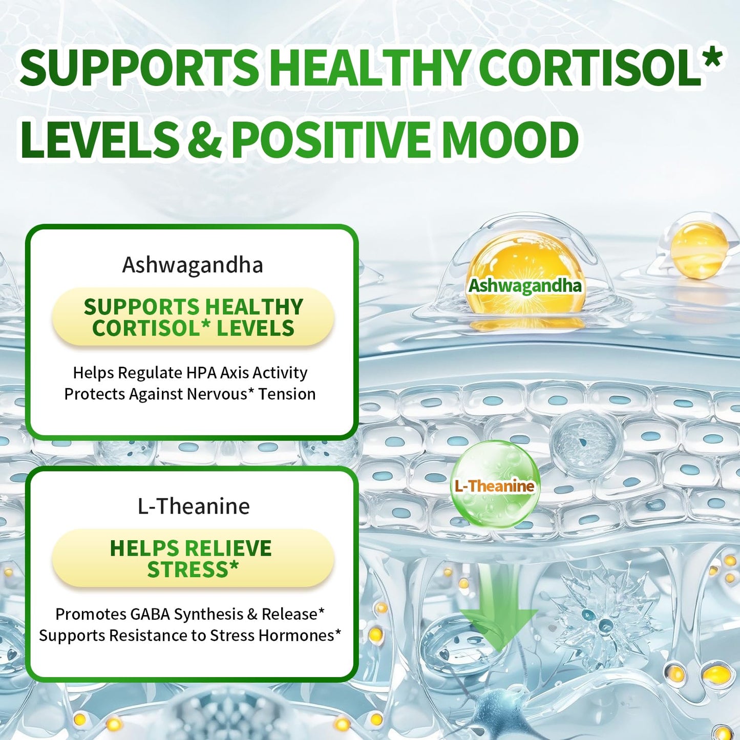 VivoNu Magnesium Complex for Women & Men with Cortisol Support, D3, Zinc, 7 Forms Magnesium Supplement Capsules, 960 Capsules
