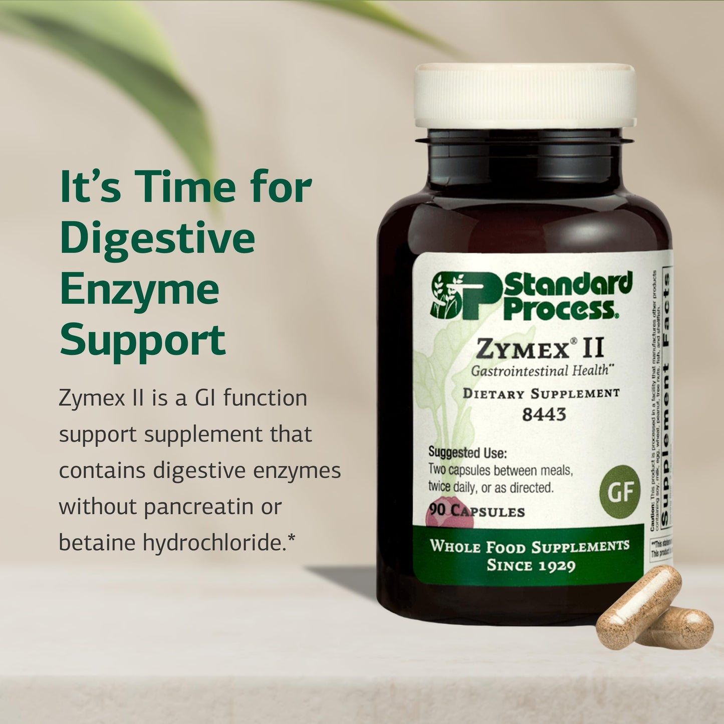 Standard Process Inc. Zymex II GI Digestive Enzyme Supplement Capsule 90 Count
