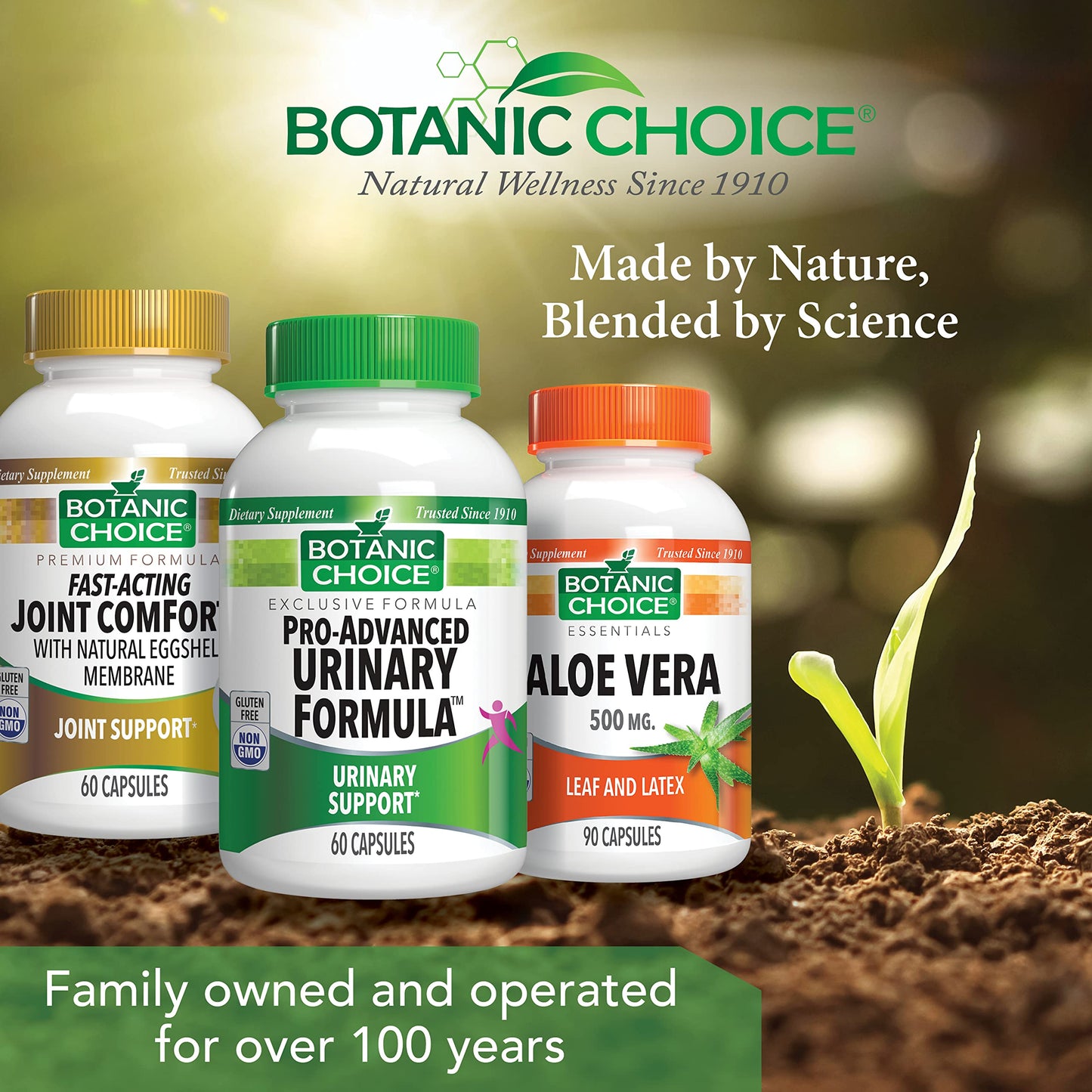 Botanic Choice Pro-Advanced Urinary Formula-Blend for Urinary Tract Health Support - Magnesium Cranberry Uva Ursi Damiana, 60 Capsules