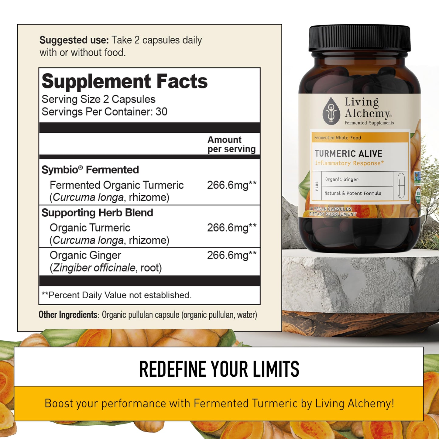 Living Alchemy Turmeric & Ginger Supplement Fermented Turmeric Capsules for Gut, Mobility & Joint Support, Vegan, Non-GMO, Filler-Free, Dairy-Free, 60 Capsules