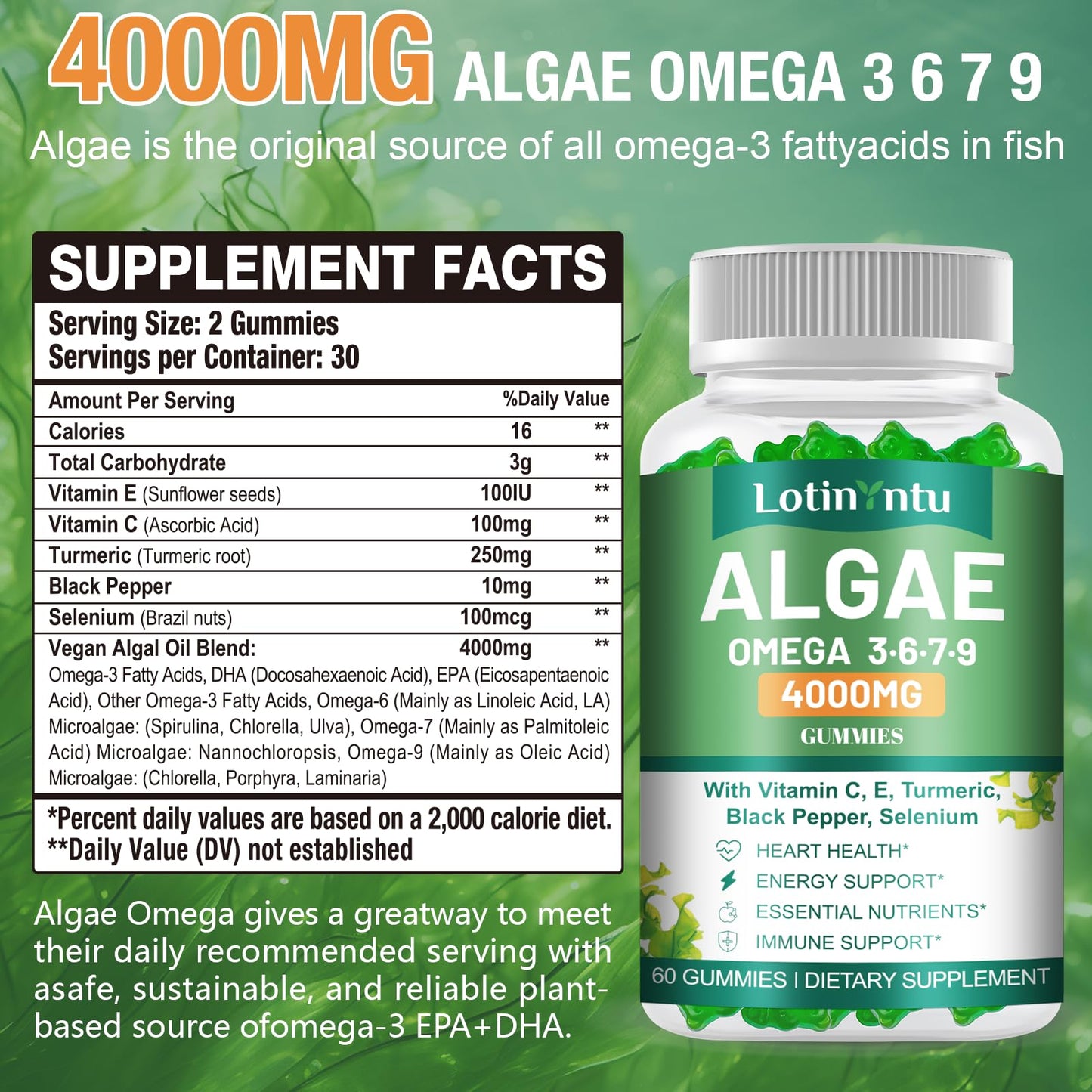 LotinYntu Algae Omega 3 Gummies 4000mg - Fish Oil Gummies Alternative from Algae Oil, DHA 1500MG & EPA 270MG, Vitamin C, E, Turmeric, Black Pepper & Selenium, Supports Heart, Brain & Immune Wellness, 60 Gummies